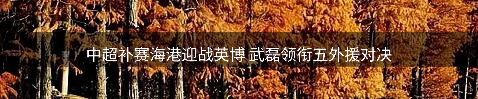 内页banner
