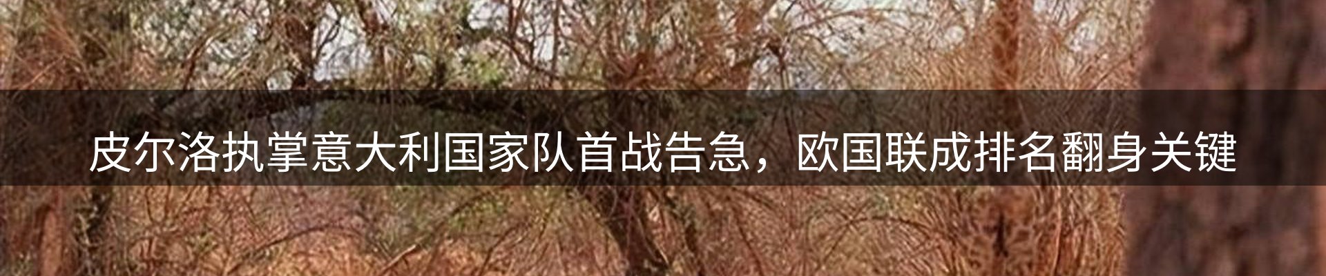 内页banner